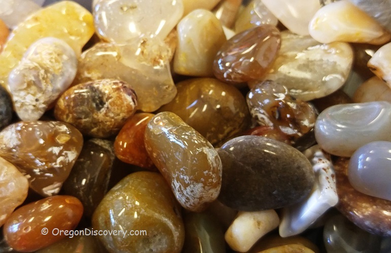 The Best Beaches In Oregon For Agate Hunting