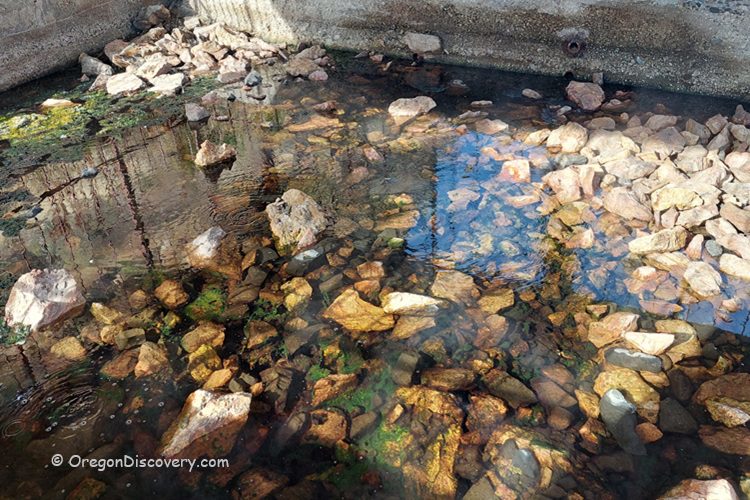 Kah-Nee-Ta Resort and Spa in Oregon: The picture "Kah-Nee-Ta Resort and Spa in Oregon hot springs source with rocks" displays the rocky pool of the natural hot springs source, with clear water and various colored stones, partially enclosed by a concrete structure.