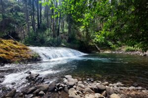 Salmon Creek Falls, Oregon, Cascade Mountains. Oakridge
