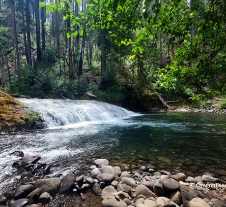 Salmon Creek Falls, Oregon, Cascade Mountains. Oakridge