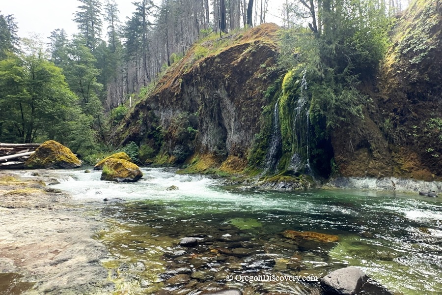 Salmon Creek - Oakridge, Oregon, Cascade Mountains
