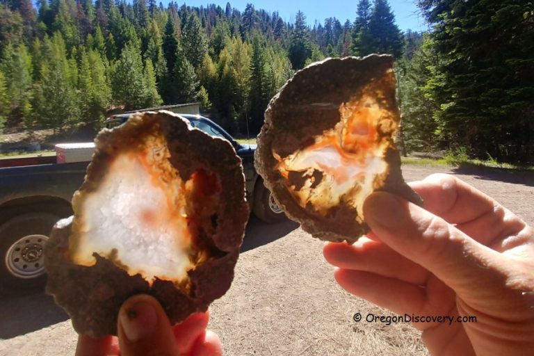 Thundereggs Oregon Where to Find & How to Spot?