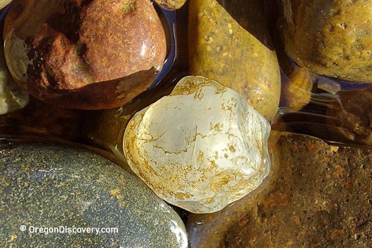 Willamette River, Oregon - Agate