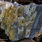 Petrified Wood Oregon