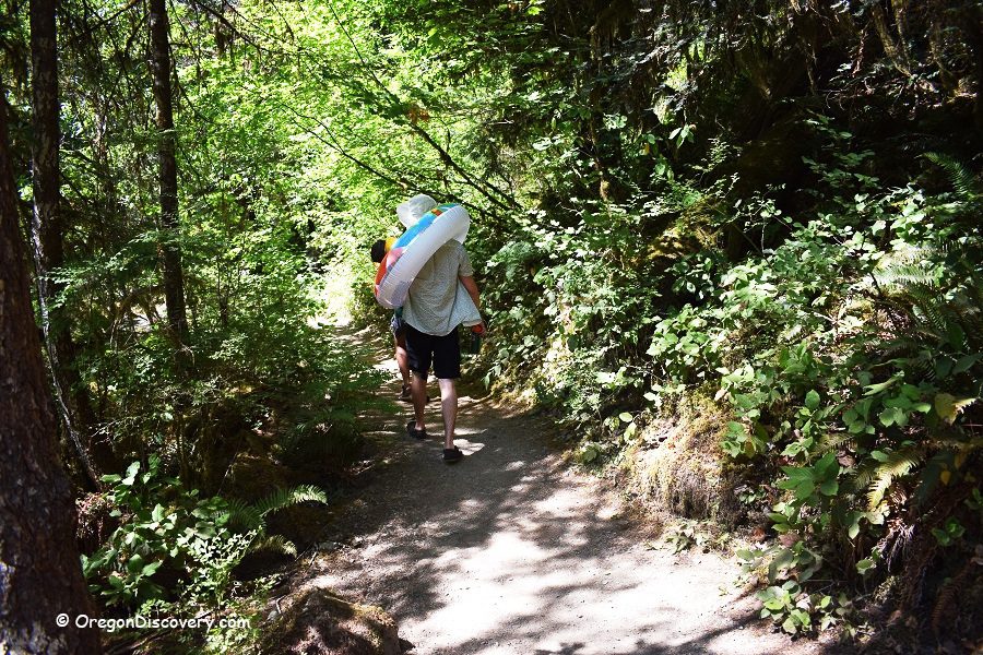 Brice Creek Falls Trail