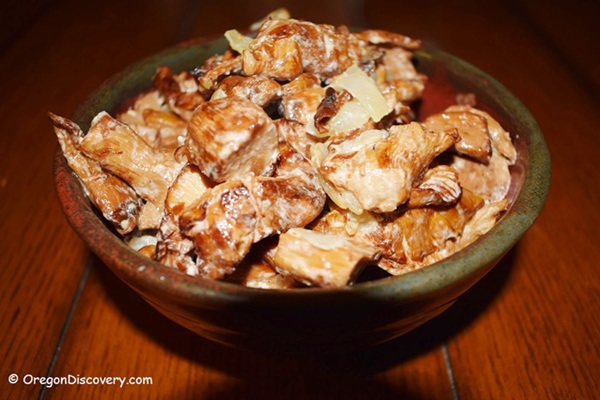 Pacific Golden Chanterelle chanterelle mushroom recipes