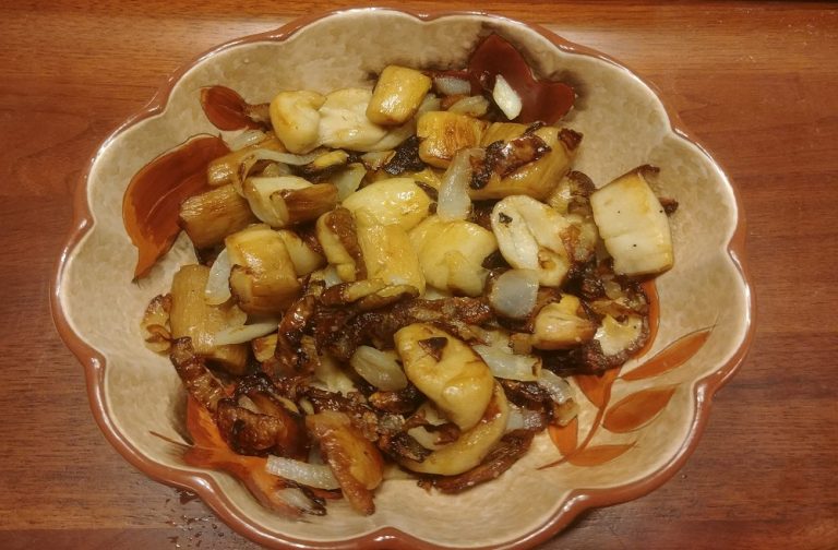 King Bolete aka Penny Bun, Cep, or Porcini Excellent Edible Oregon