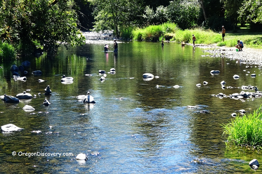 Butte Creek - Scotts Mills County Park, Oregon