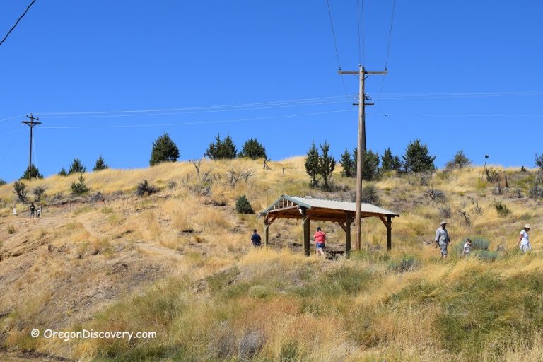 Wheeler High School Fossil Beds Digging for Fossils in Fossil City