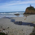 Short Beach Oregon