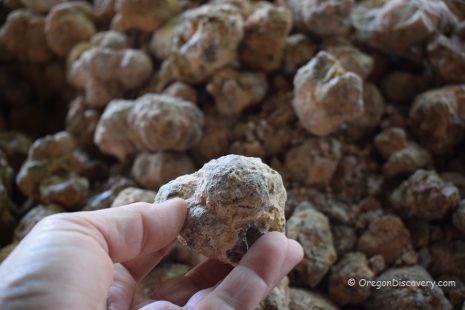Richardson’s Rock Ranch: World-Famous Thunderegg Deposits - Oregon ...