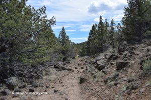 Picture Rock Pass Petroglyphs - Medicine Man Trail