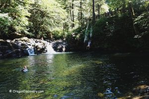 Cavitt Creek Falls