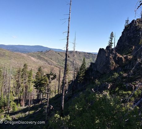 Whistler Springs - Mill Creek Wilderness