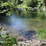 E-mile Day-Use Site - Little River