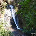 Wolf Creek Falls - Oregon