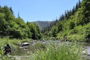 Cow Creek Gold Panning