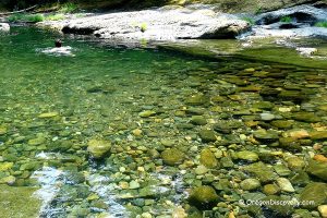 Cascadia State Park - Swimming