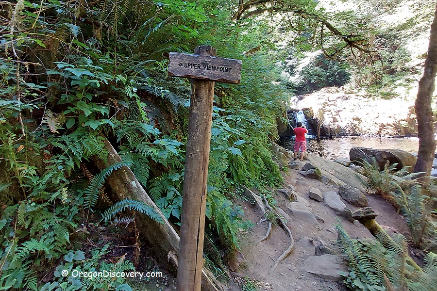 Sweet Creek Falls Trail