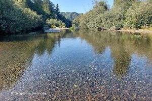 Sixes River - Edison Creek