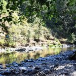 Cedar Grove Campground - Molalla River