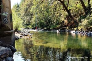 Day Use Site 16 - Molalla River, Oregon