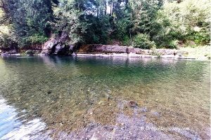 Moonshine Park - Siletz River