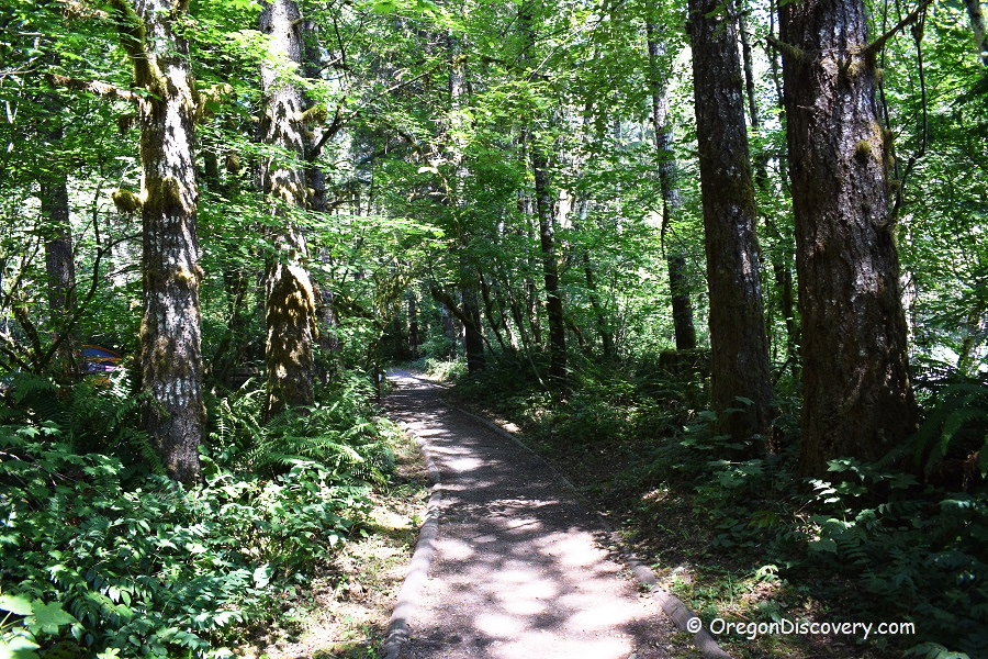 Molalla River Trail, Oregon