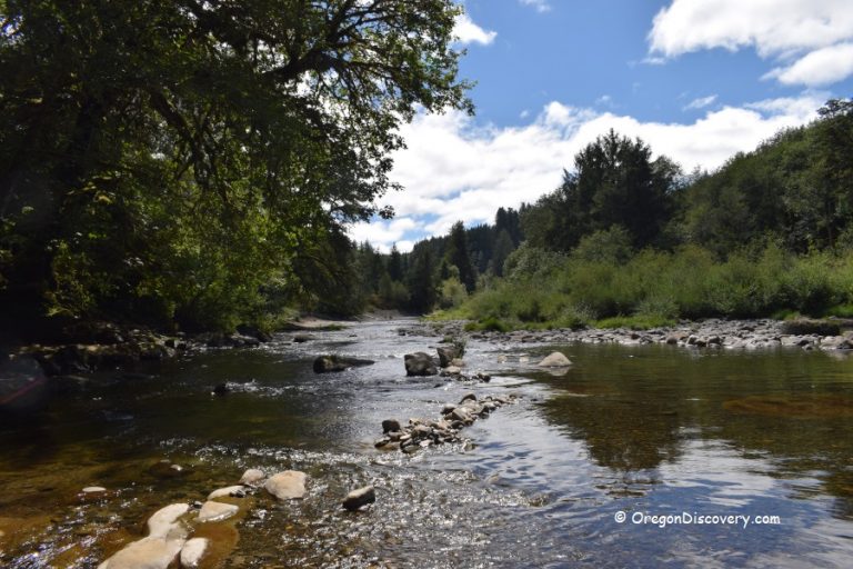 Moonshine Park Incredible Siletz River Oasis Central Coast Oregon