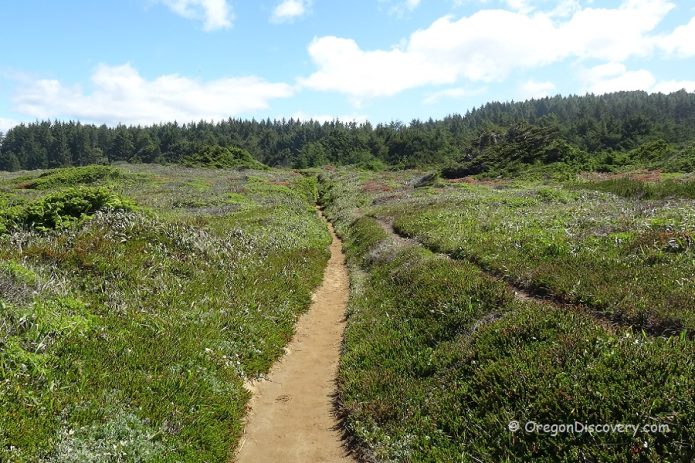 Otter Point State Recreation Site Secret Spot near Gold Beach Oregon