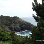 Port Orford Heads State Park
