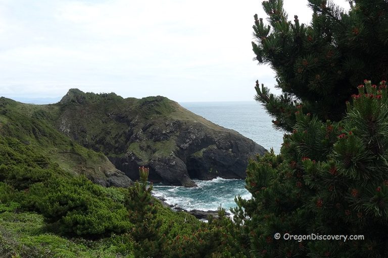 Port Orford Heads State Park Rugged Peninsula at Port Orford Oregon