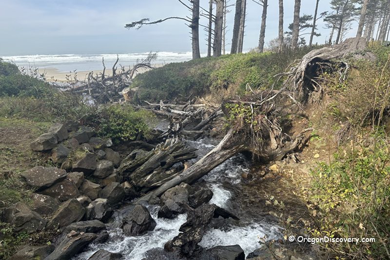 Cape Lookout State Park Cape Lookout State Park, Oregon