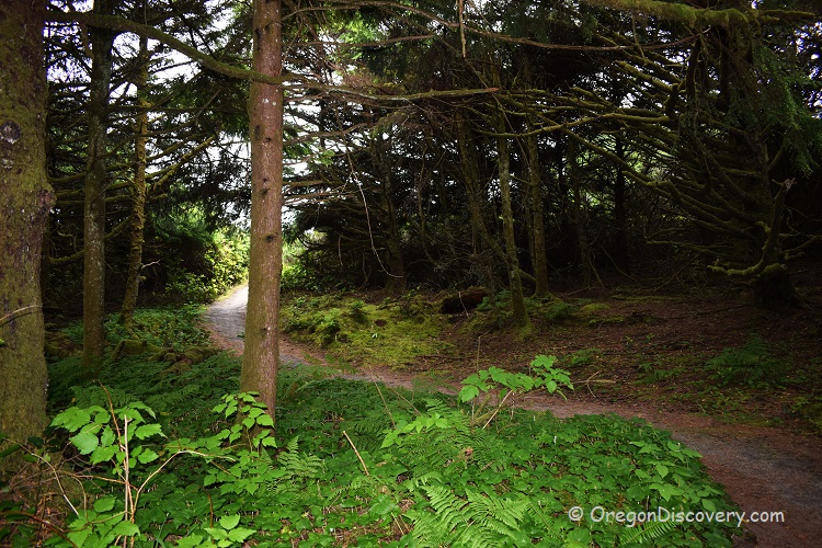 Manhattan Beach State Recreation Site