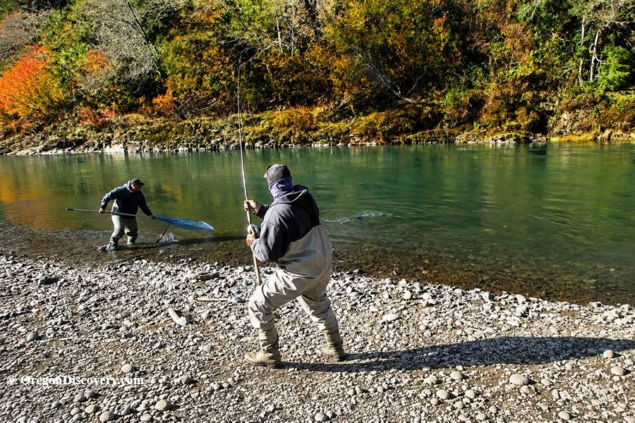 Wilson River Salmon Fishing, Oregon Coast