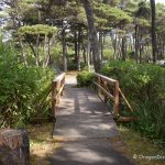 Beachside State Recreation Area, Oregon