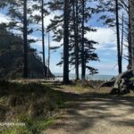 Oswald West State Park - Oregon Coast