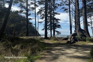Oswald West State Park - Oregon Coast