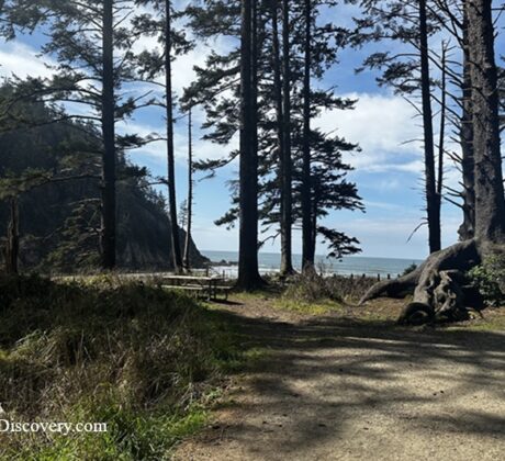 Oswald West State Park - Oregon Coast