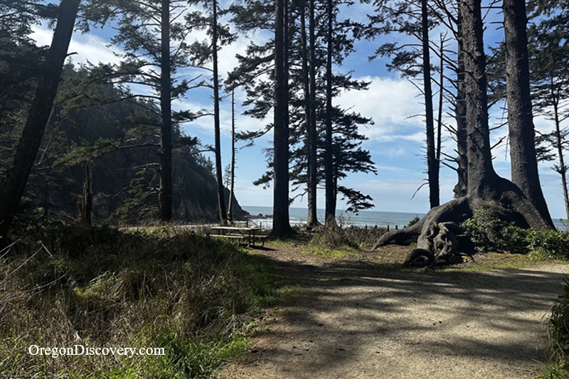 Oswald West State Park - Oregon Coast