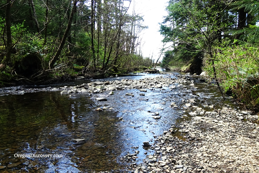 Necarney Creek, Oswald West State Park - Oregon Coast