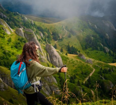 best trekking poles review for hiking and other adventures