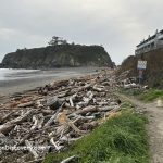 Mill Beach Brooking Oregon Coast