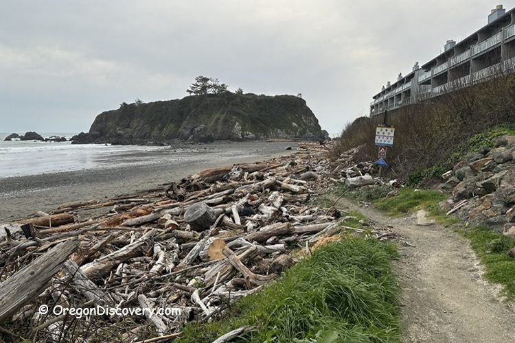 Mill Beach Brooking Oregon Coast