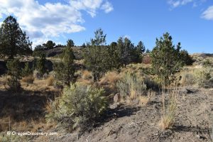 Warm Springs Reservoir Rockhounding