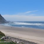 Cove Beach (Falcon Cove Beach aka Magic Rocks Beach) – A wide sandy shoreline with gentle ocean waves rolling in. A lone person walks along the beach, while a rocky hillside covered in greenery rises to the left under a bright blue sky.