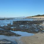 Ona Beach (Brian Booth State Park): A scenic view of the beach with scattered rocks on the sand, gentle waves in the distance, and two people walking along the shoreline under a clear blue sky.