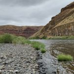 Cottonwood Canyon State Park Oregon - A serene river scene with clear water flowing over rocks along the shore. The riverbank is lined with small patches of green grass, and steep, rocky cliffs rise in the background under a cloudy sky.