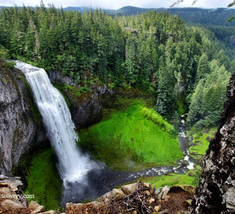 Salt Creek Falls Oregon Hiking: A majestic waterfall, Salt Creek Falls, cascades down a rocky cliff surrounded by lush green vegetation and tall trees, creating a serene and picturesque scene in Oregon.