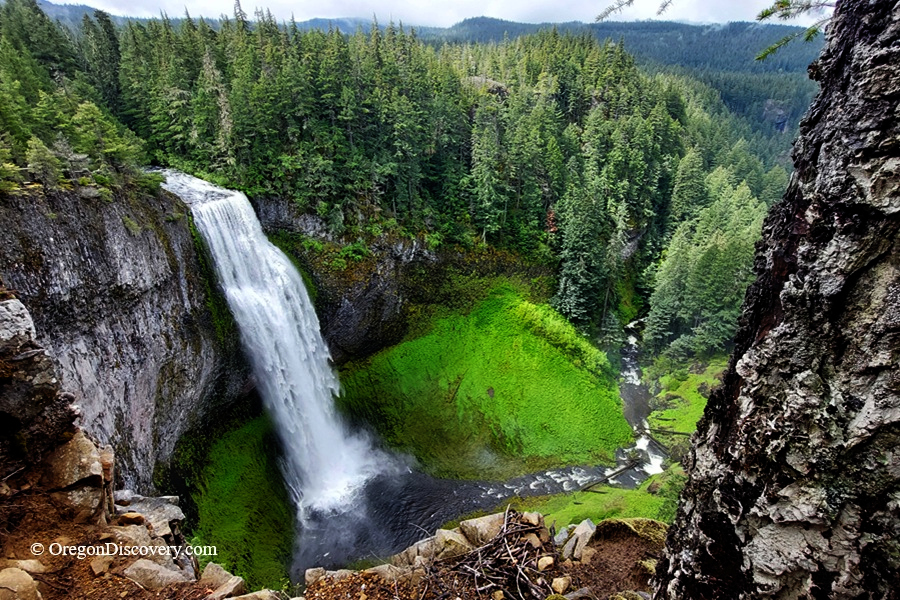 Salt Creek Falls Oregon Hiking: A majestic waterfall, Salt Creek Falls, cascades down a rocky cliff surrounded by lush green vegetation and tall trees, creating a serene and picturesque scene in Oregon.